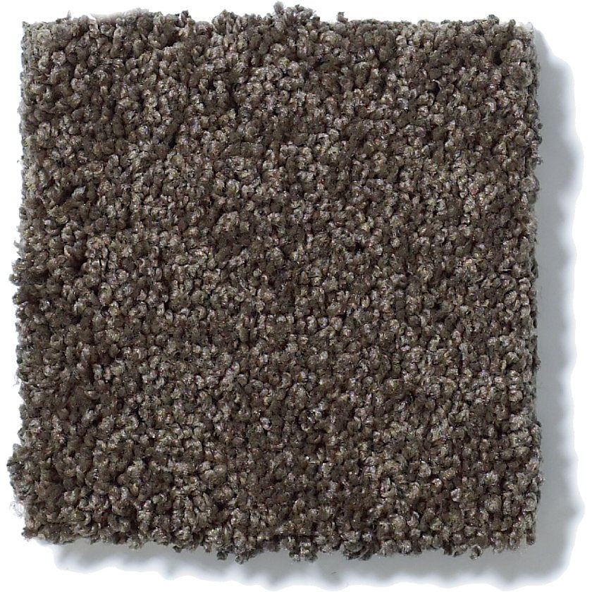 MY CHOICE II CHOCOLATE - Carpet