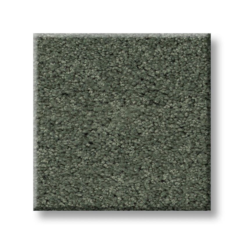 MY CHOICE III BAY LAUREL SWATCH