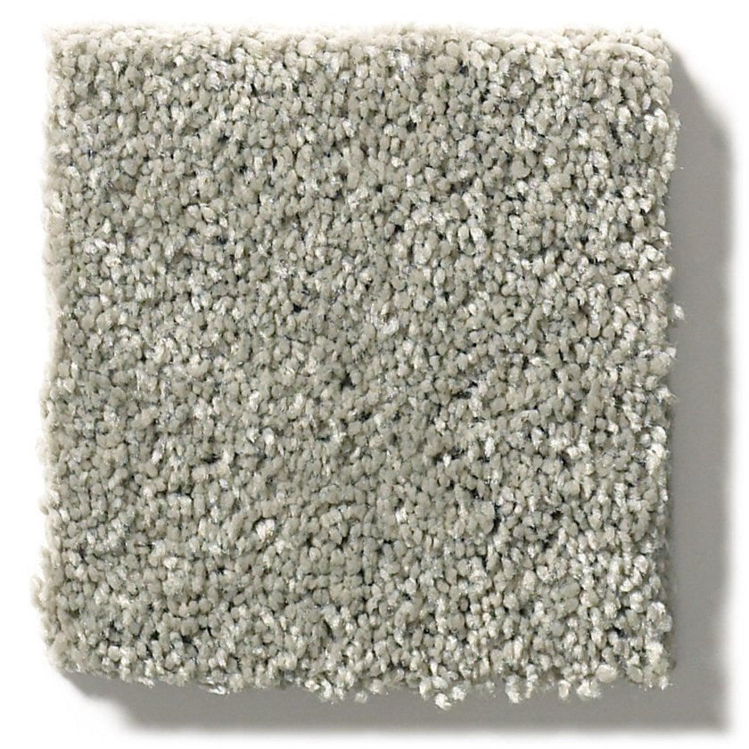 BASIC RULES FLAX SWATCH