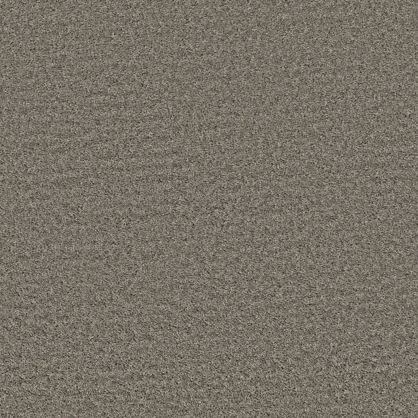 SHAKE IT UP (S) CEMENT MAIN