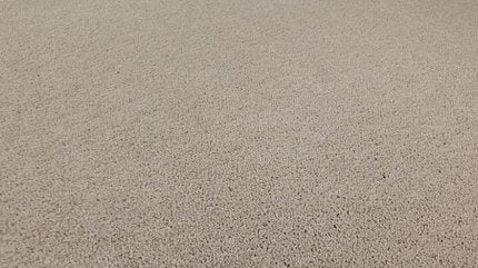 NEW MEMORIES T DUNE VIEW - Carpet
