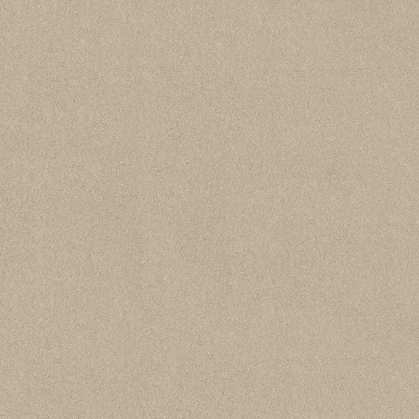NEW MEMORIES T DUNE VIEW - Carpet