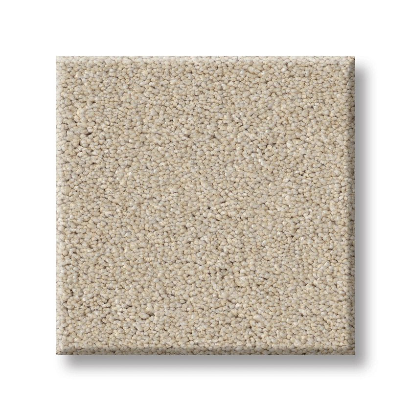 NEW MEMORIES T DUNE VIEW - Carpet