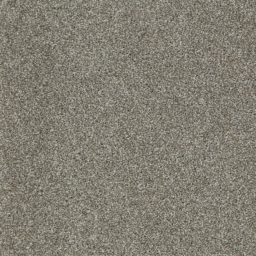 INSPIRING PEWTER - Carpet