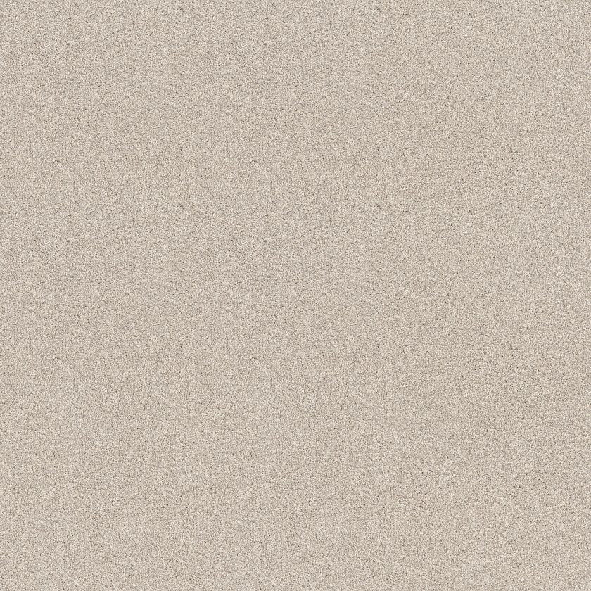 Find your comfort I - Tonal CHAMPAGNE TOAST MAIN