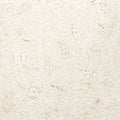 Eco-Nomical White - Swatch