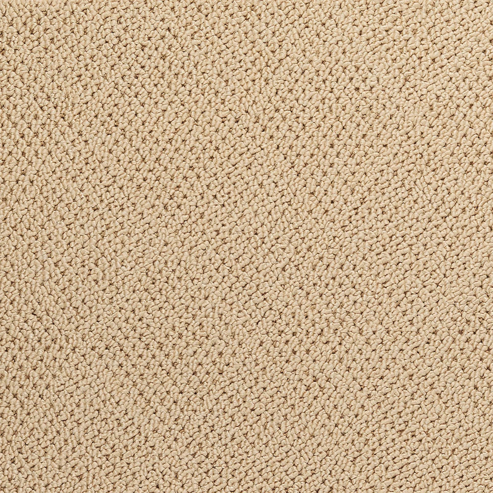 Bordered Rug