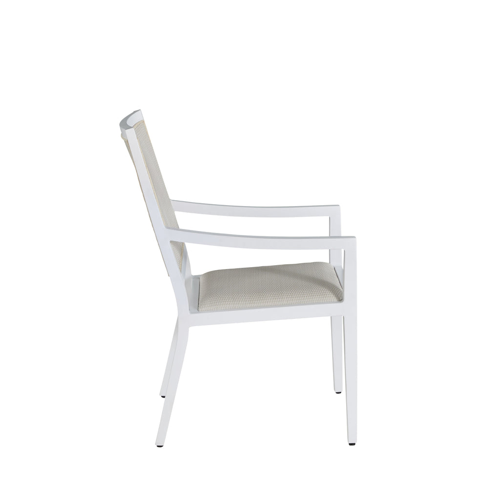 Hamilton Dining Arm Chair