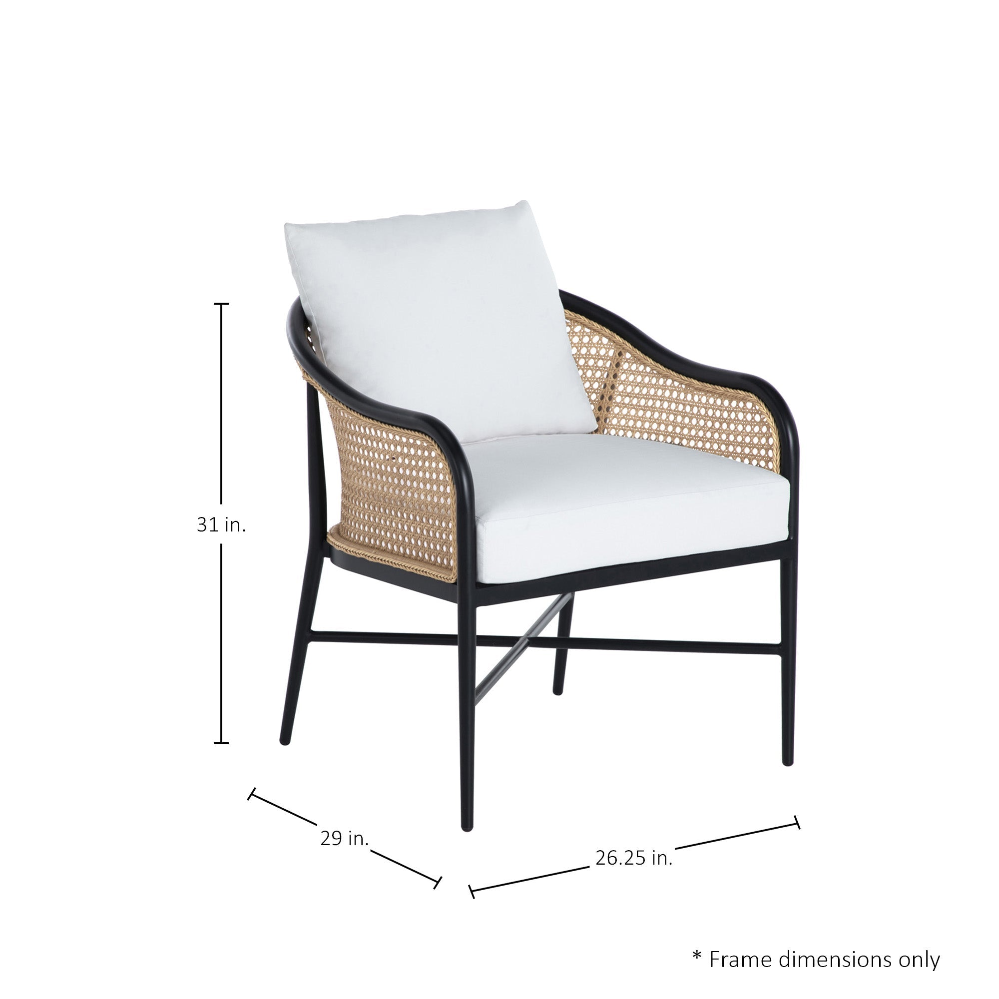 Havana Resin Wicker Outdoor Euro Lounge Chair