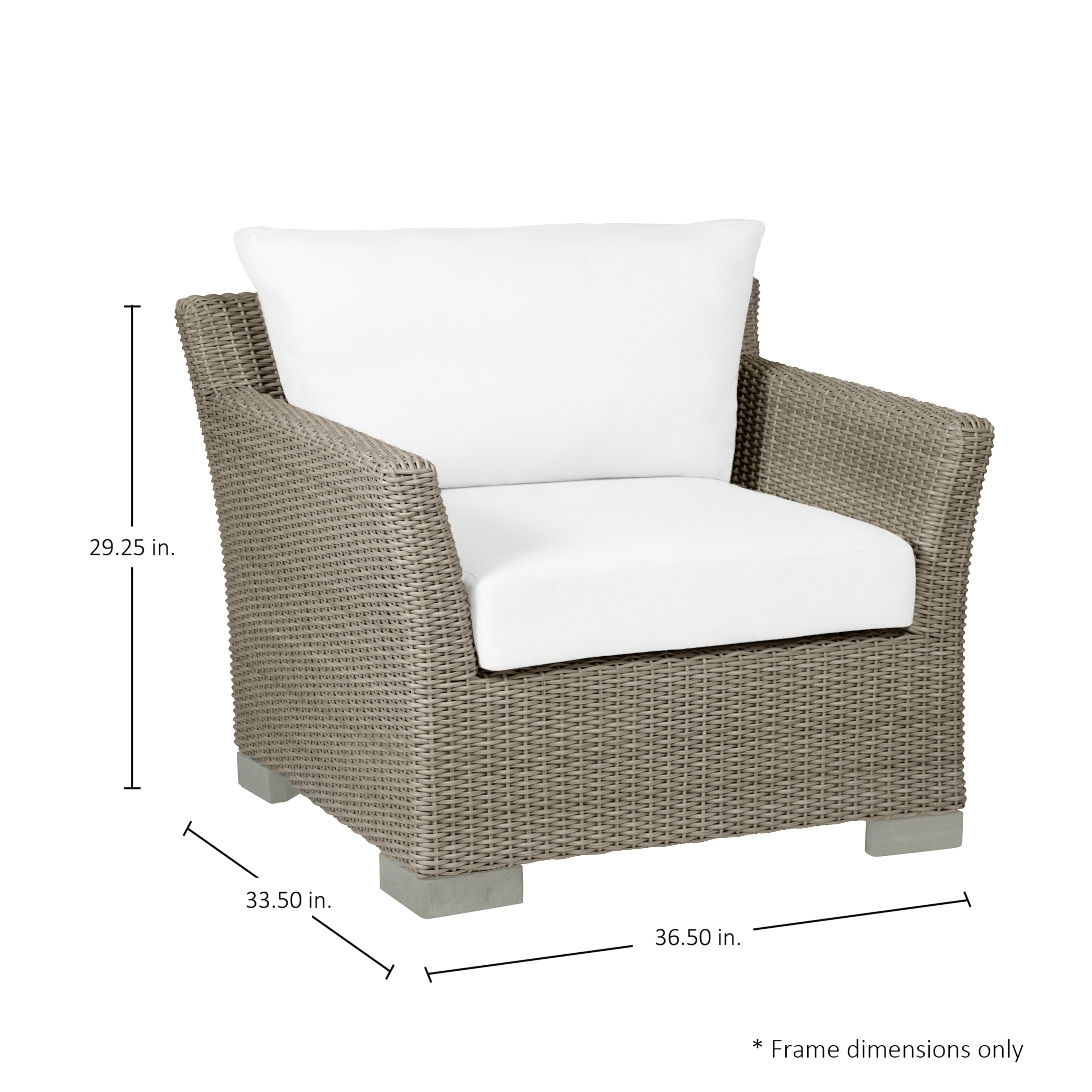 Club Woven Resin Wicker Outdoor Lounge Chair