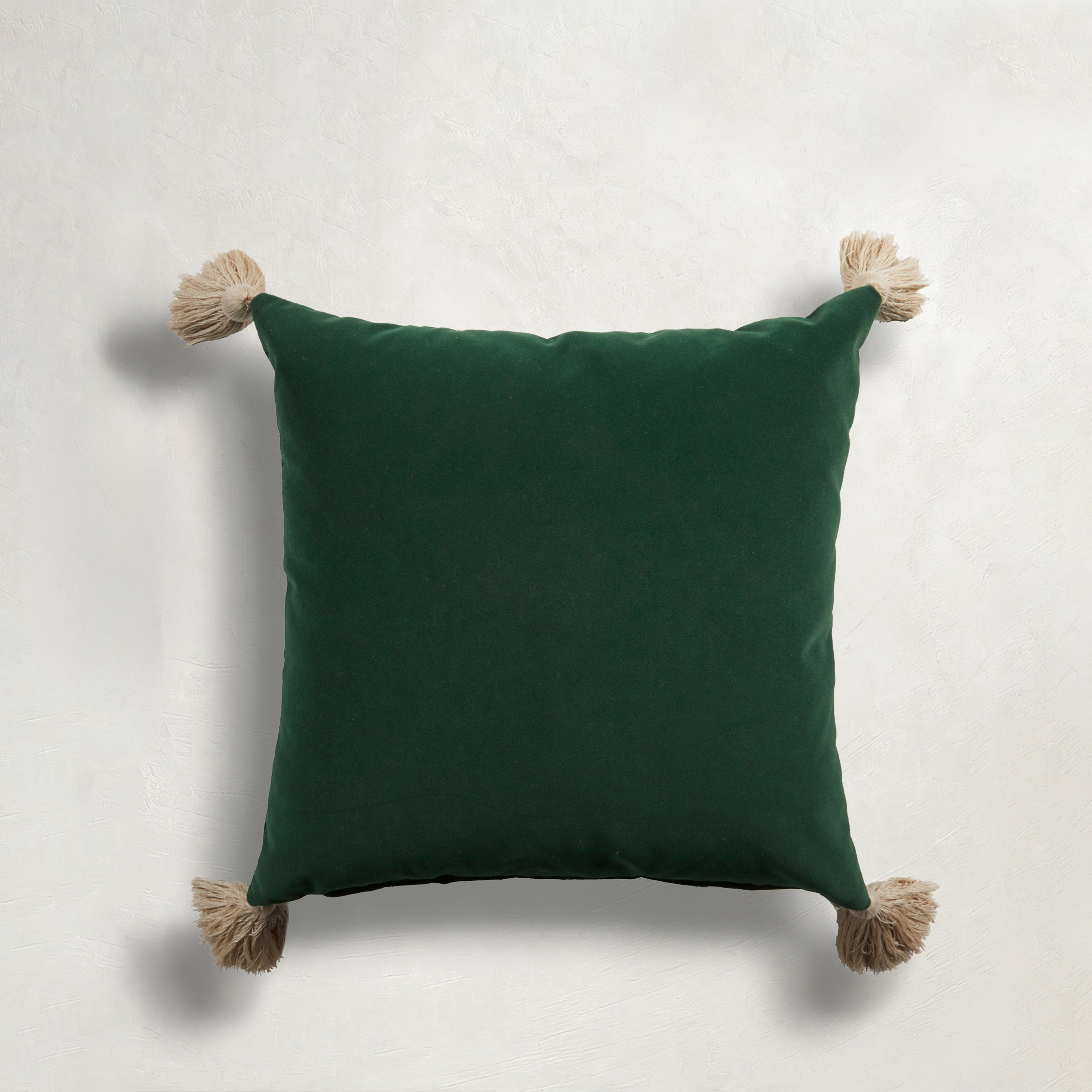 Velvet Outdoor Throw Pillow