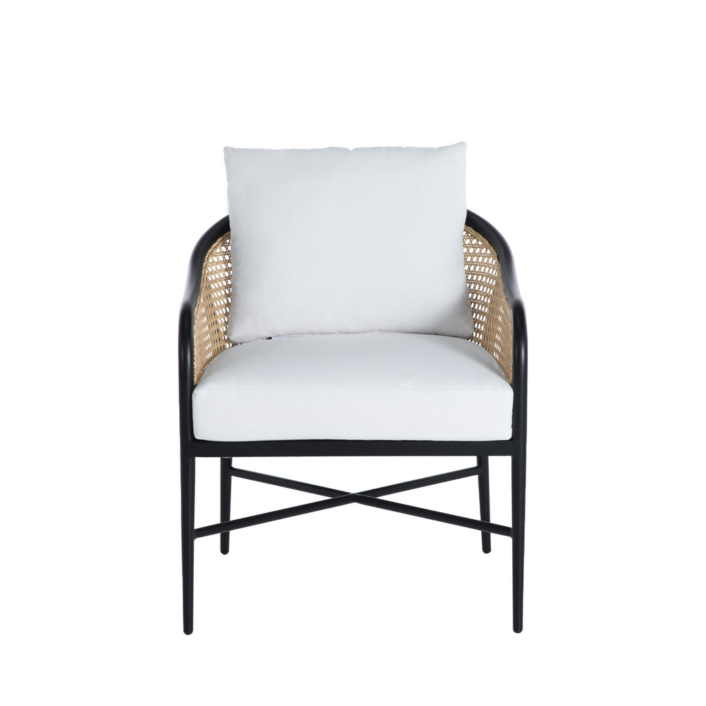 Havana Resin Wicker Outdoor Euro Lounge Chair