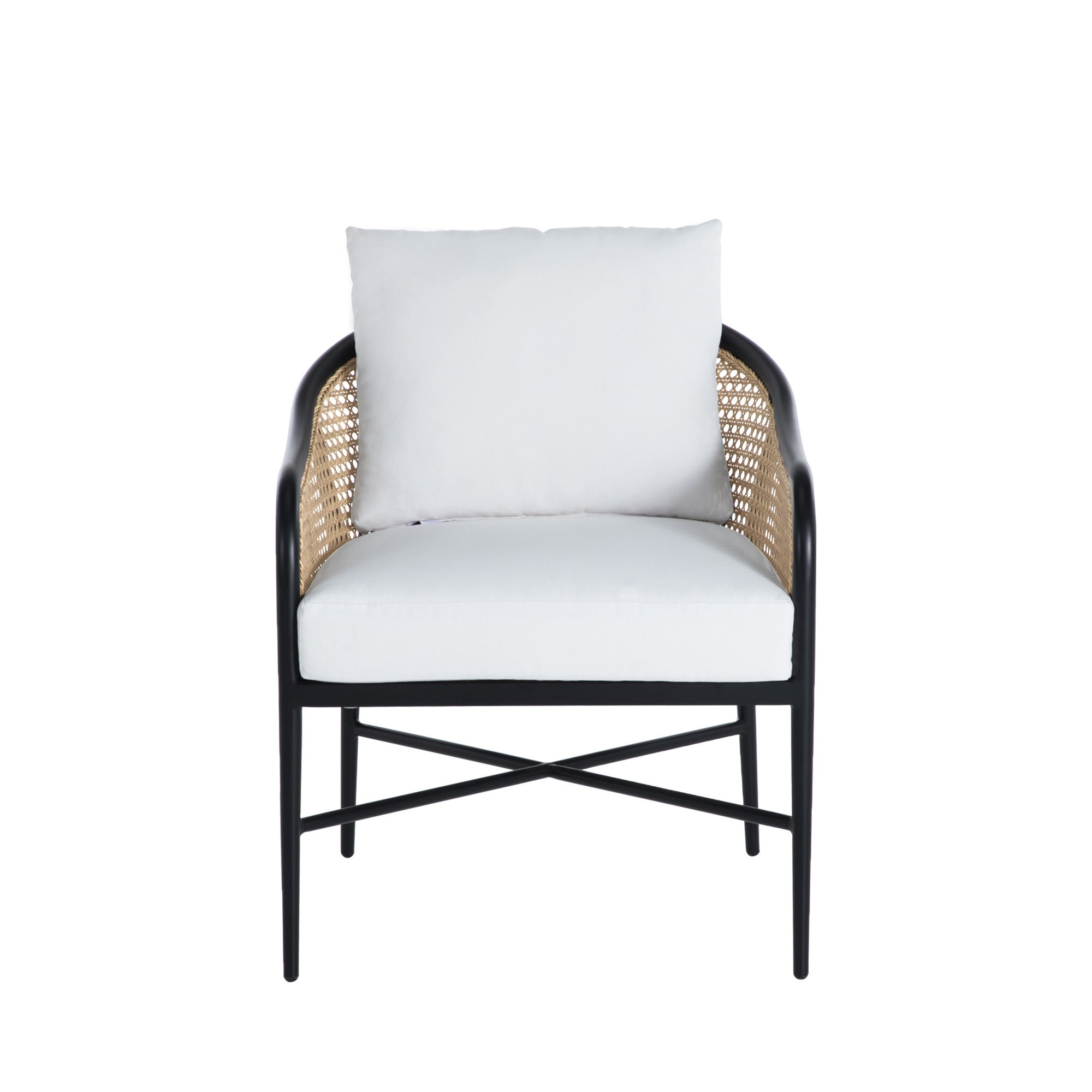 Havana Resin Wicker Outdoor Euro Lounge Chair
