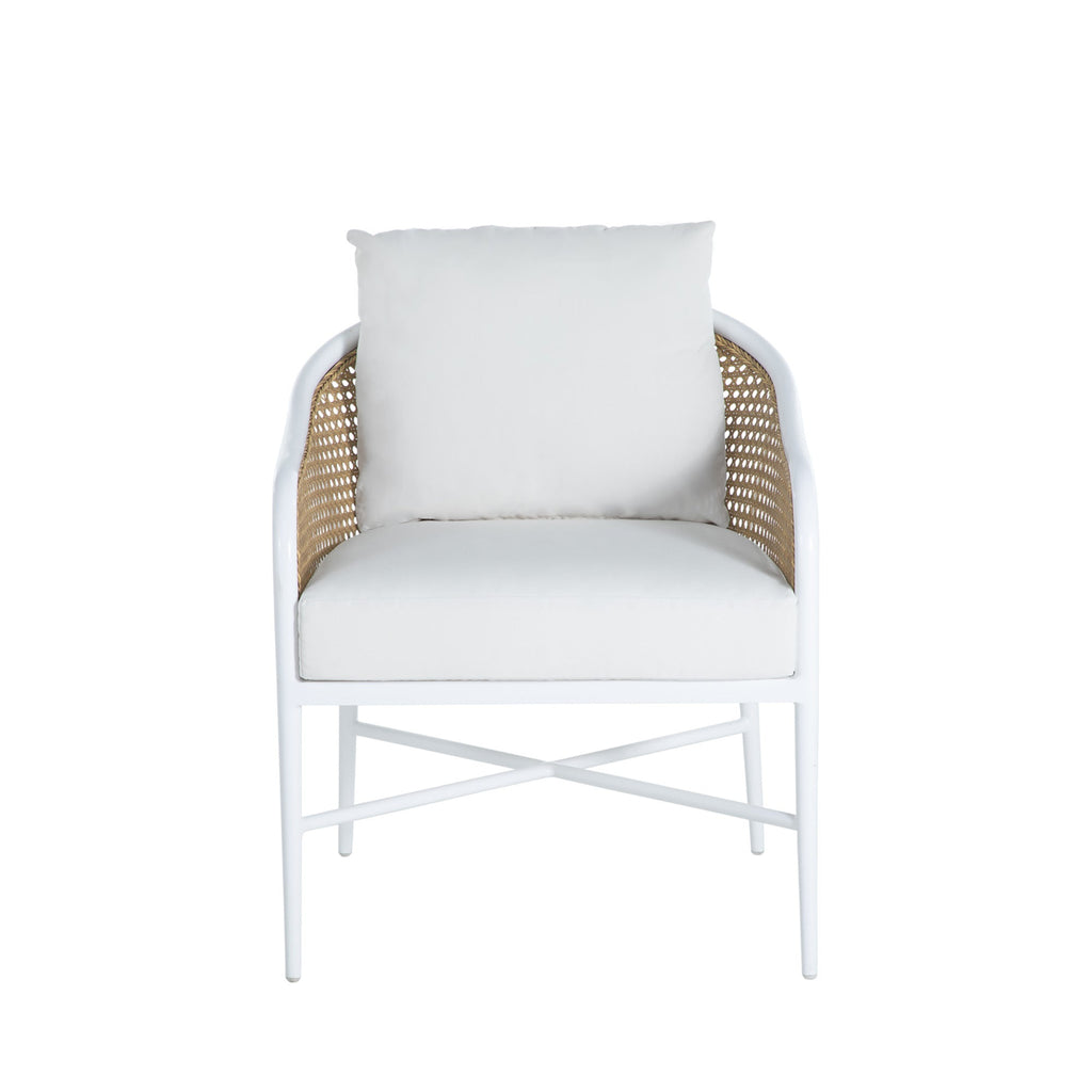 Havana Resin Wicker Outdoor Euro Lounge Chair
