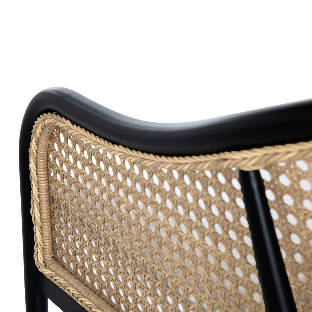 Havana Resin Wicker Outdoor Euro Lounge Chair