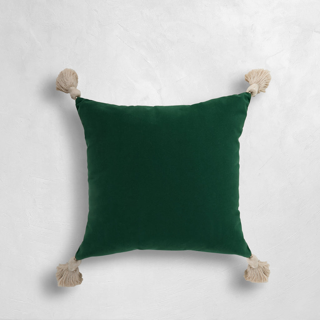 Velvet Outdoor Throw Pillow
