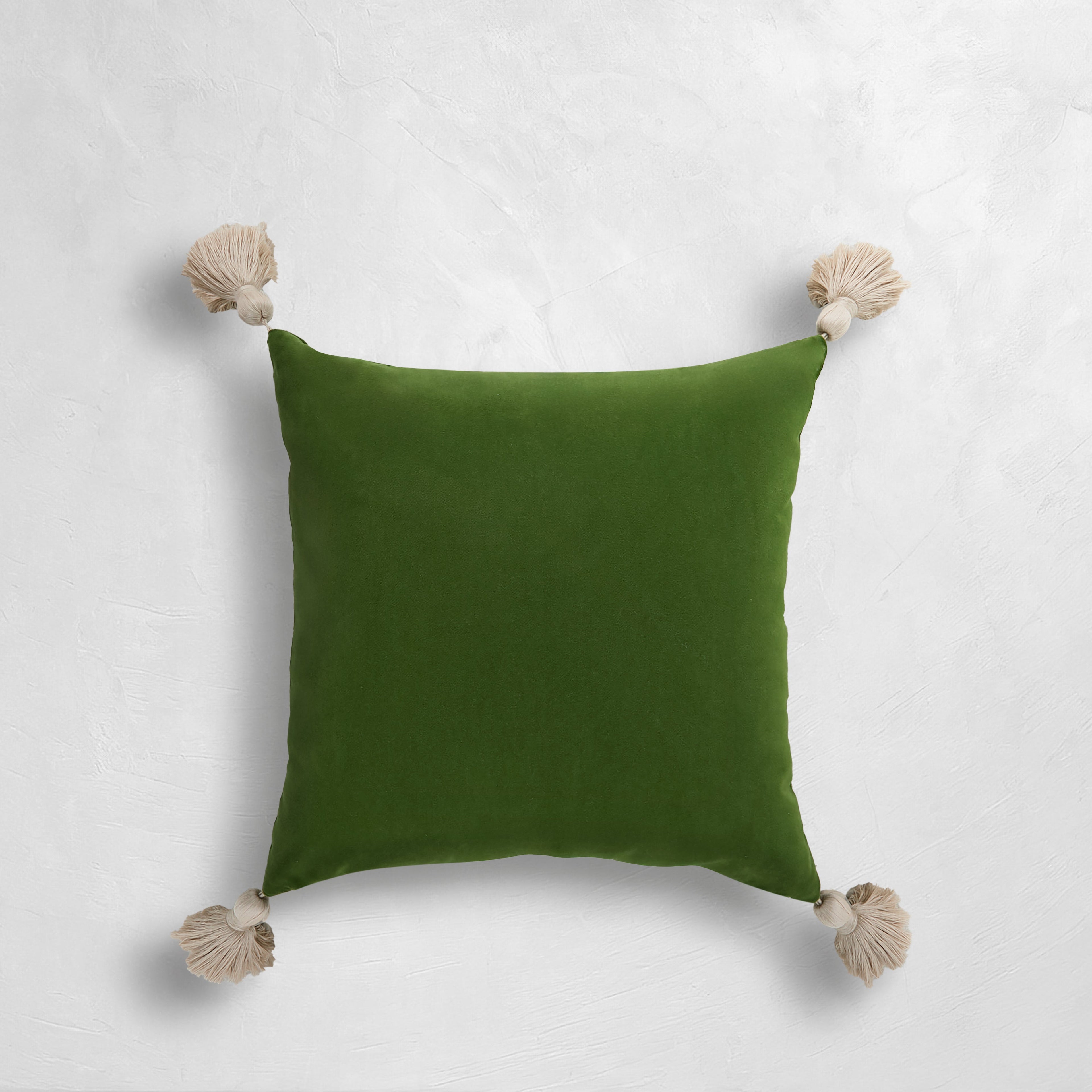 Velvet Outdoor Throw Pillow