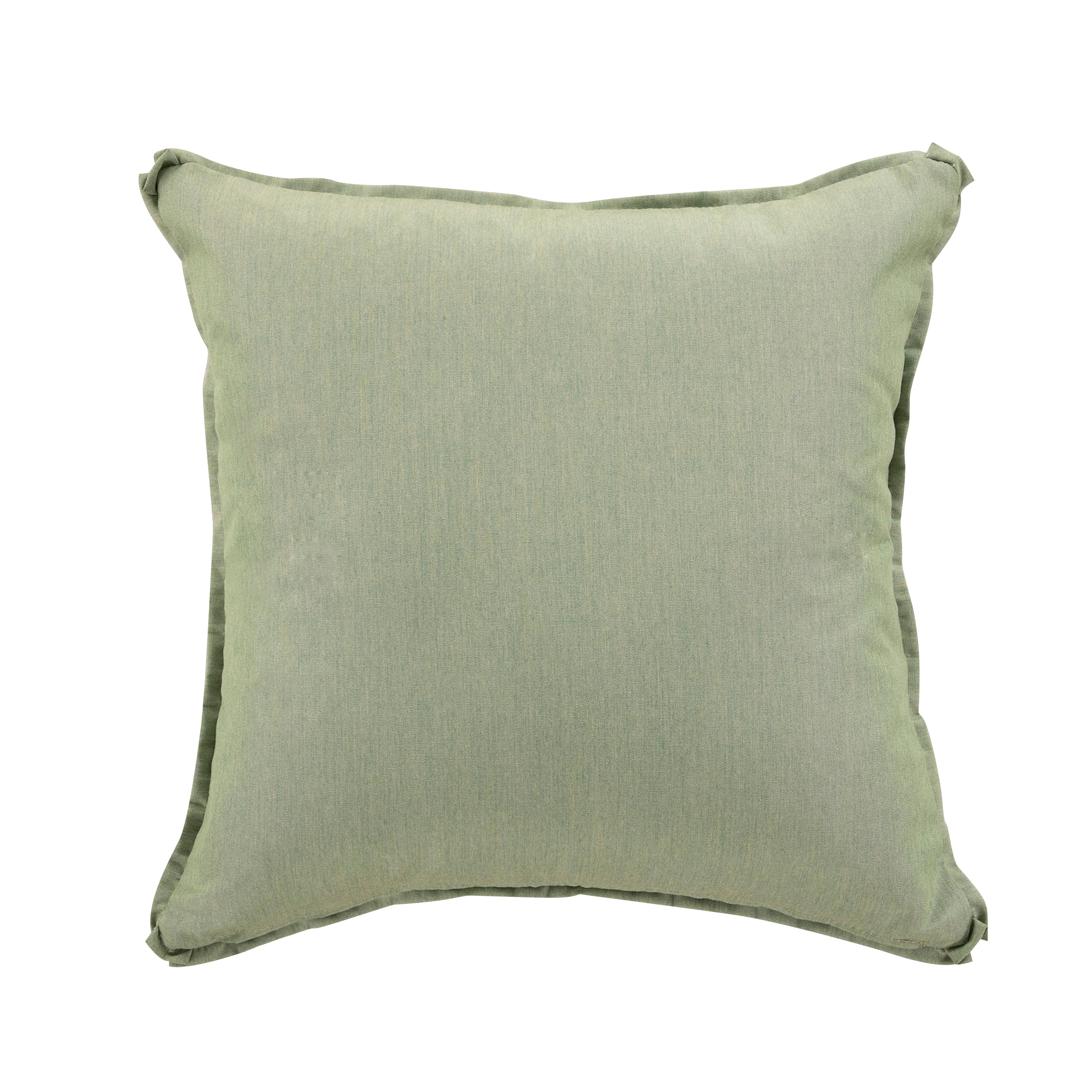 Ribbit Outdoor Throw Pillow