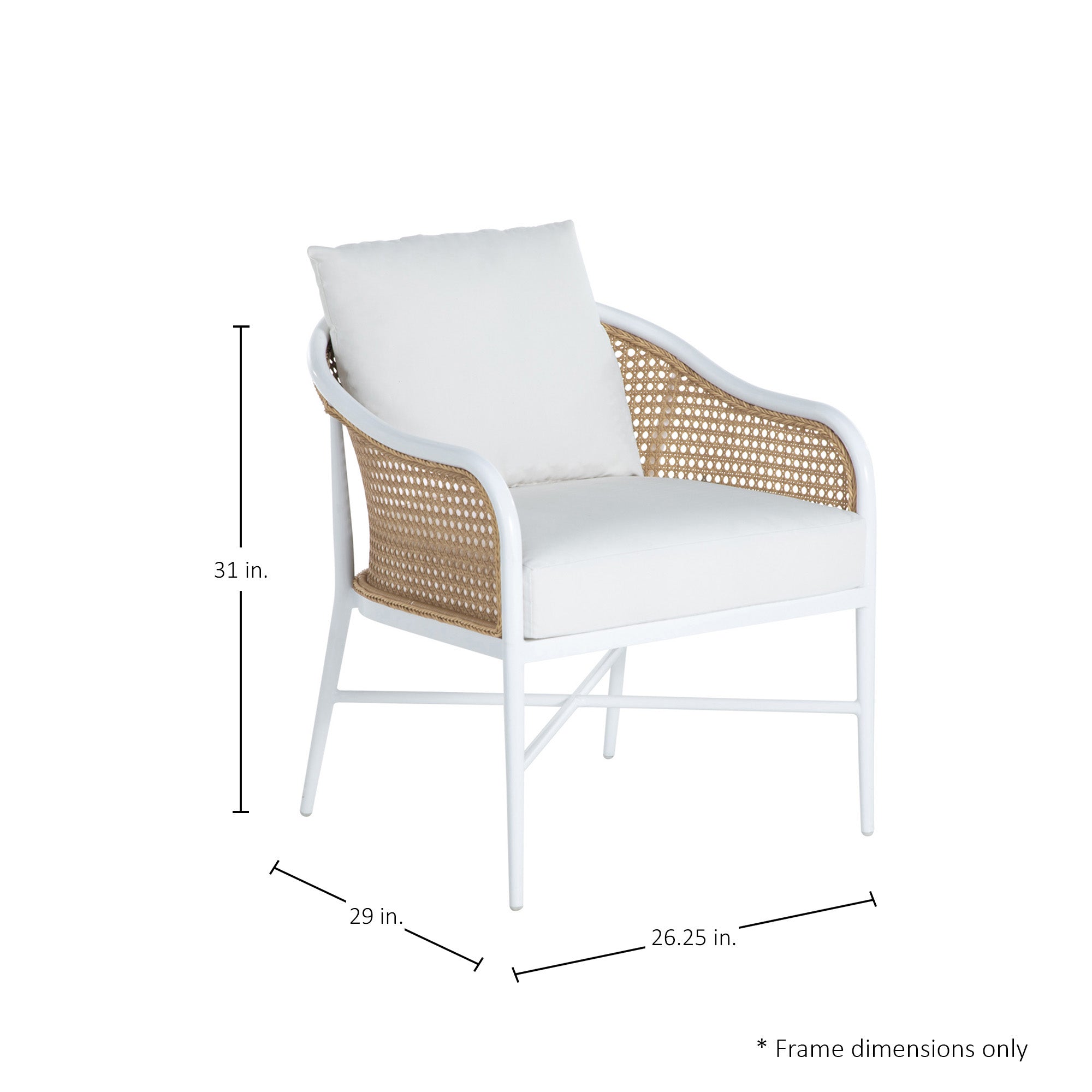 Havana Resin Wicker Outdoor Euro Lounge Chair