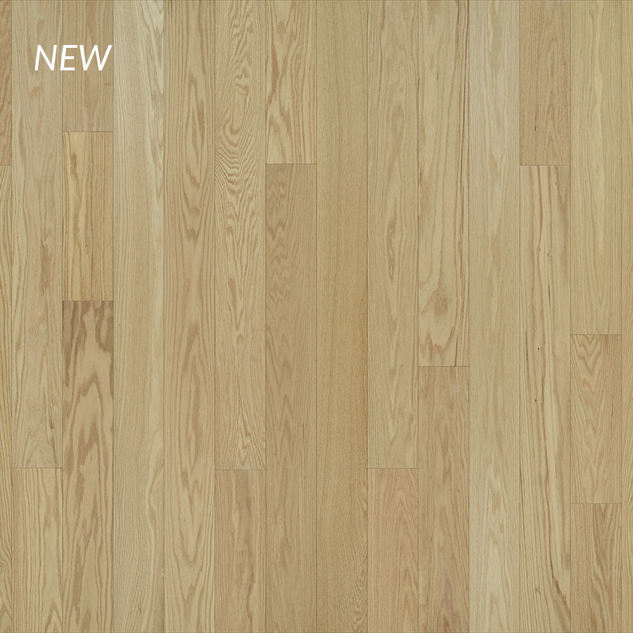 London Red Oak