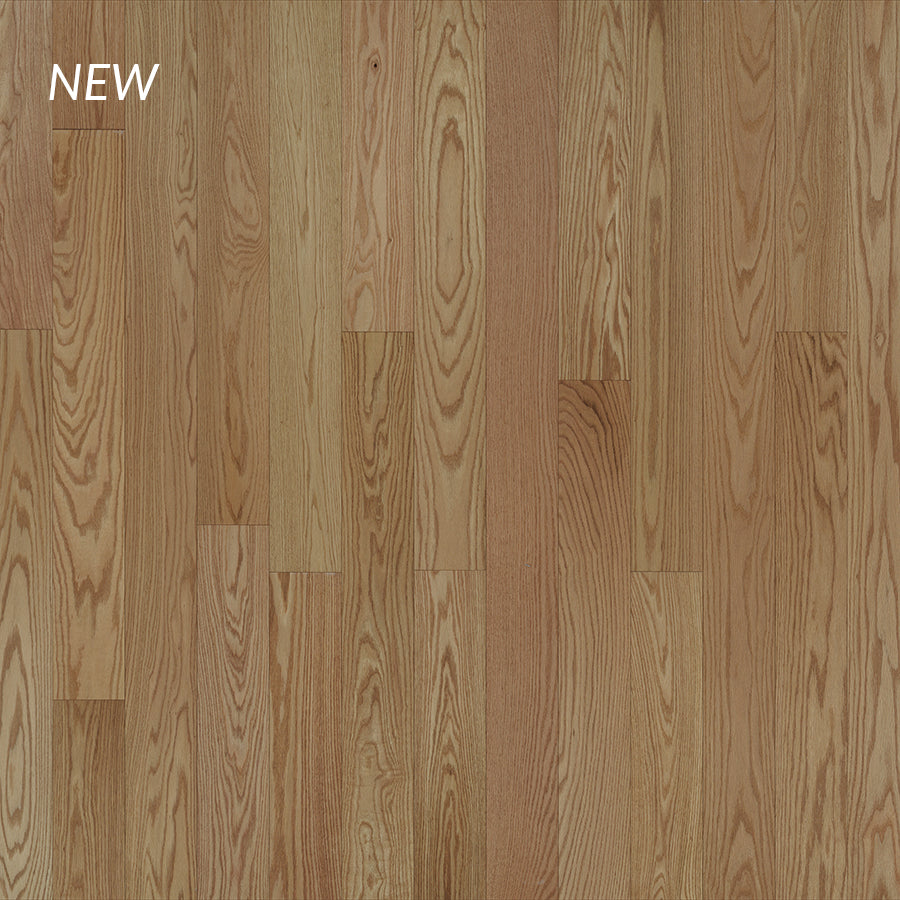 Morrison Red Oak