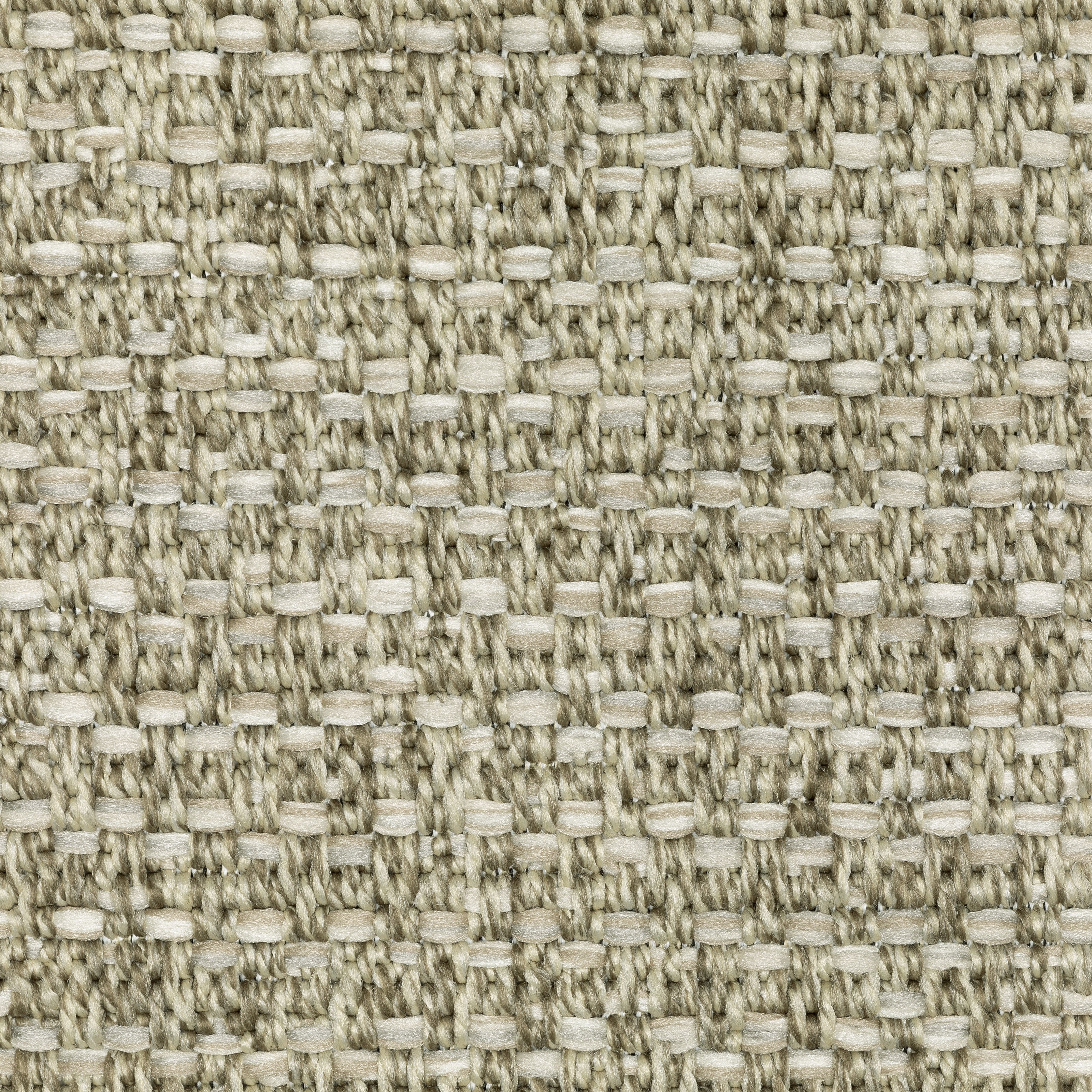 Tortuga / TR12A