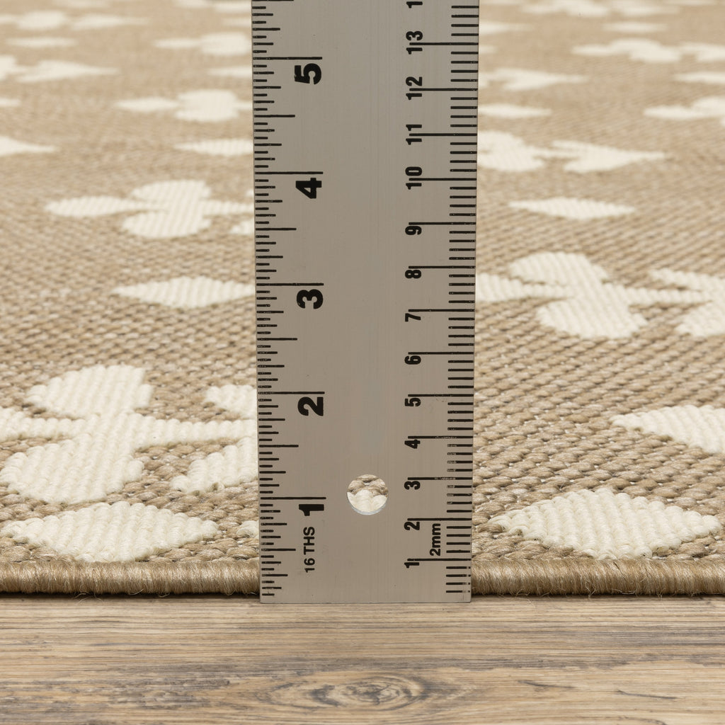 Zarina / ZAR02