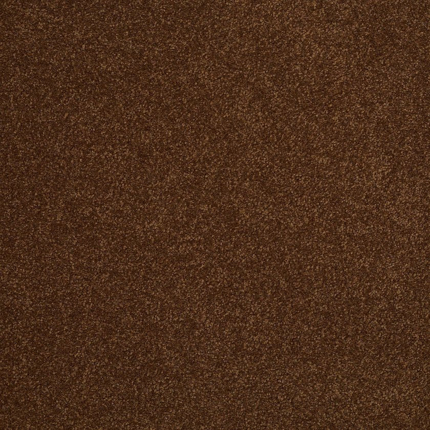 TIMELESS APPEAL III 12' TORTOISE SHELL MAIN