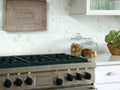 VISION BASKETWEAVE MOSAIC MATTE CALACATTA ROOM