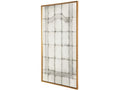 Century Furniture Florence Floor Mirror TSA-831-V1