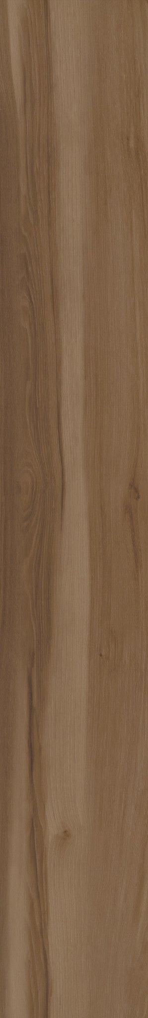 BLENDED CARAWAY 1TO1