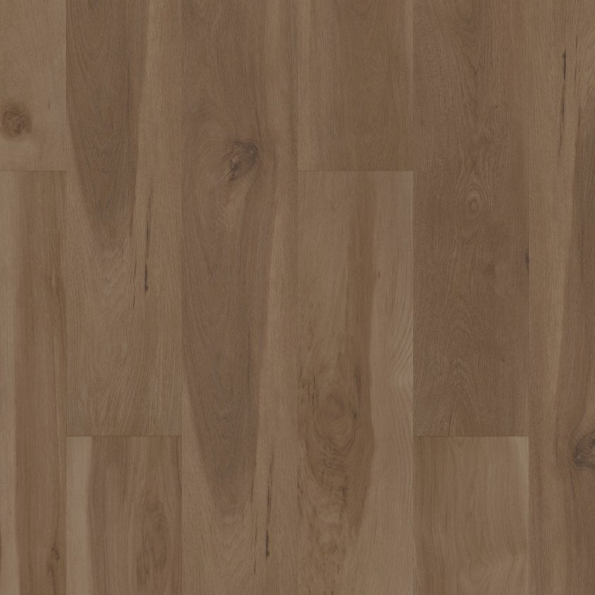 CORETEC ORIGINALS PREMIUM VV704 BLENDED CARAWAY MAIN