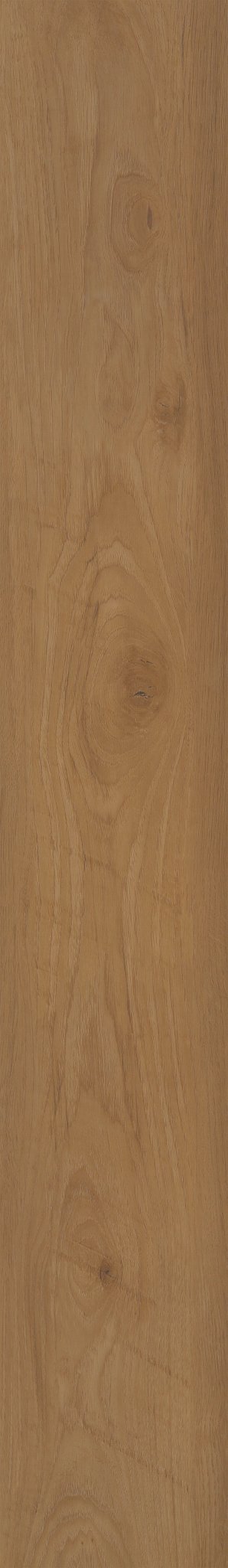 BLENDED SIENNA 1TO1
