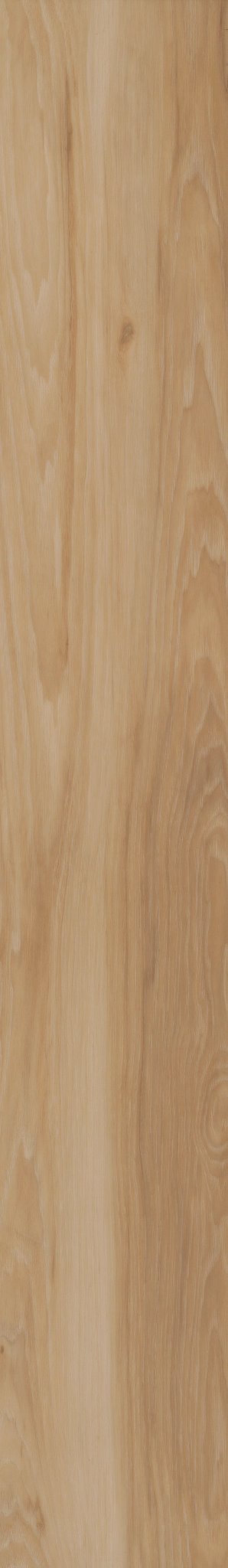 BLENDED PRALINE 1TO1