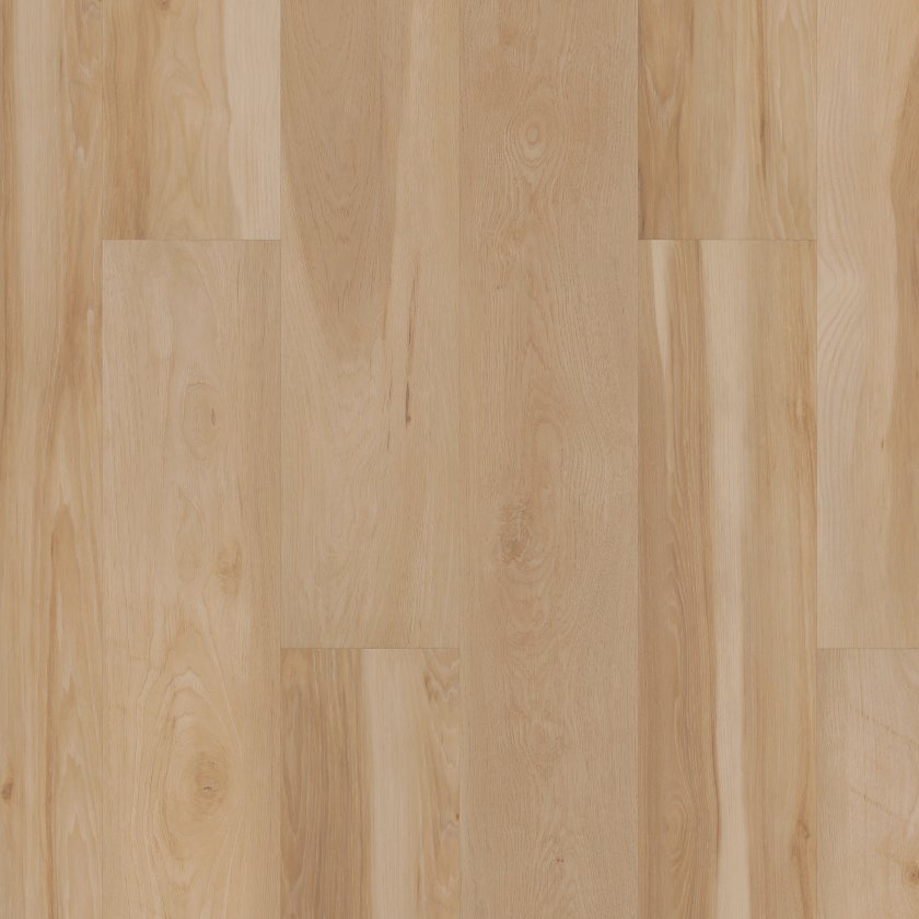 CORETEC ORIGINALS PREMIUM VV704 BLENDED PRALINE MAIN