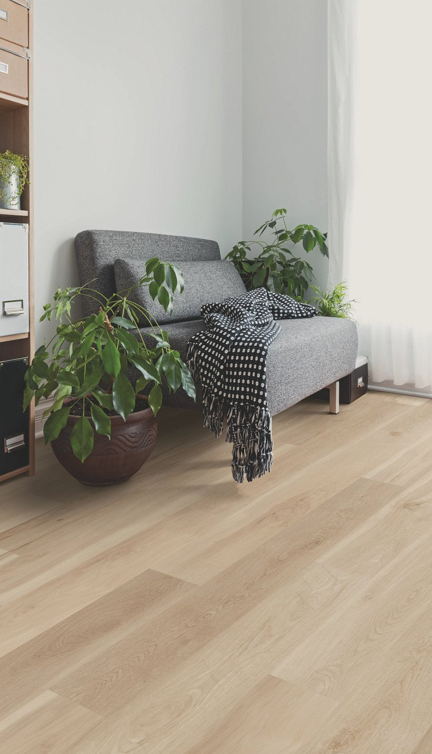 CORETEC ORIGINALS PREMIUM VV704 BLENDED COCOON ROOM