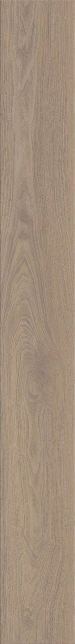 ALLEGIANT WALNUT 1TO1