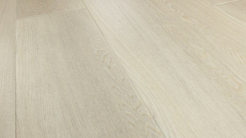 CONCH ASH StaticImage01