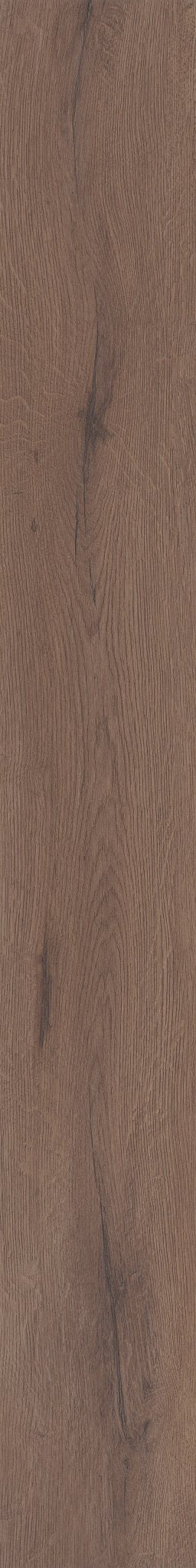 CERITH OAK 1TO1