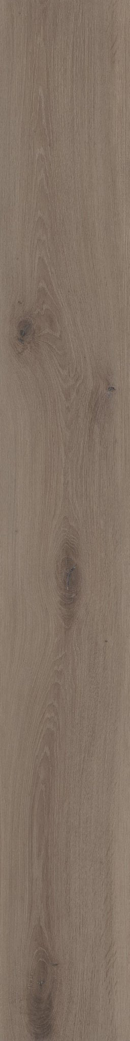 MIST OAK 1TO1