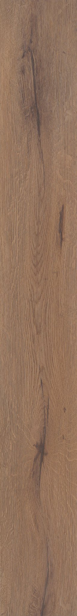 SAND DOLLAR OAK 1TO1