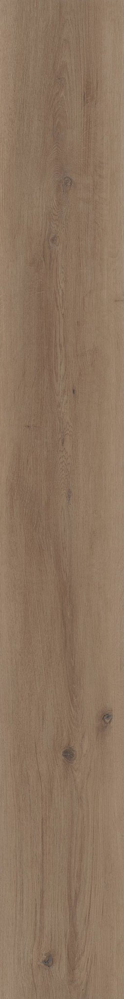 PARCHMENT OAK 1TO1