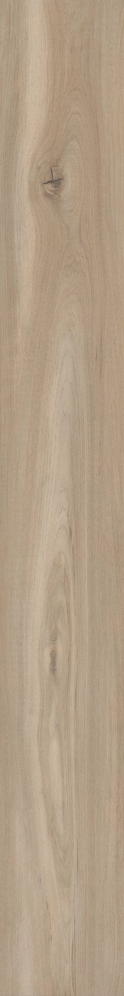 SEA SALT OAK 1TO1