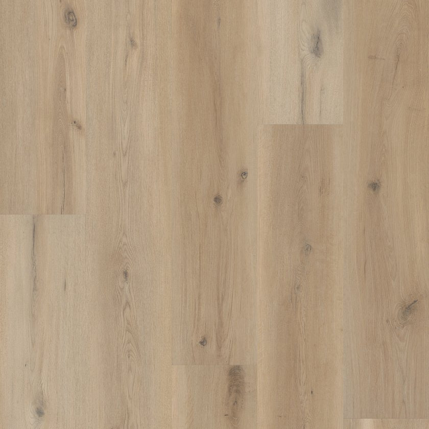CORETEC ORIGINALS PREMIUM VV810 SEA SALT OAK MAIN
