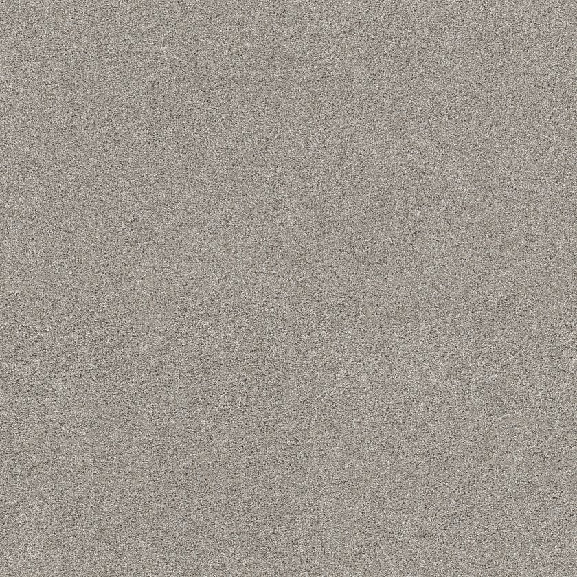 OCEAN VIEW SILVER SCREEN - Carpet