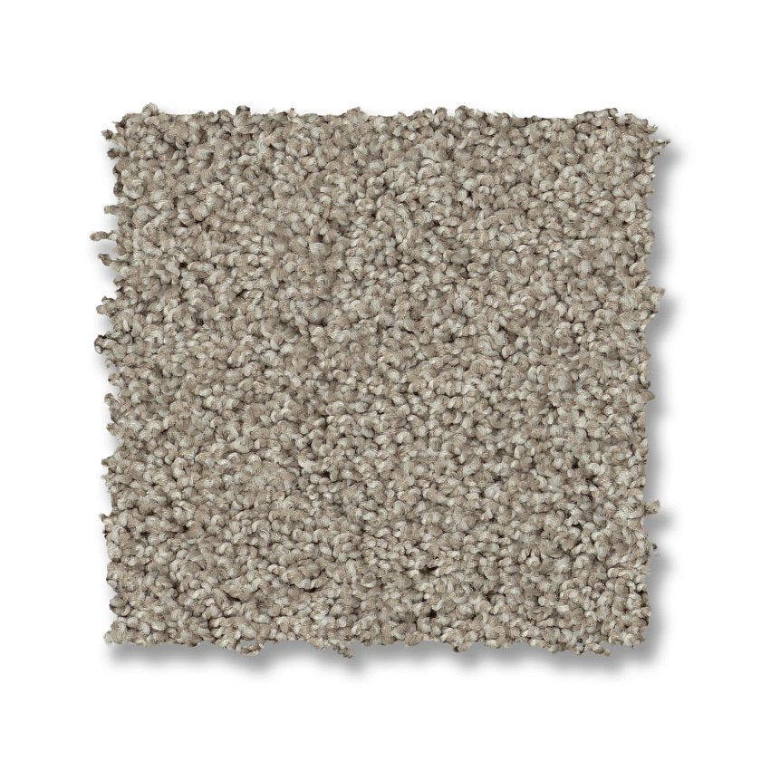 ACADIA PARK SHALE SWATCH