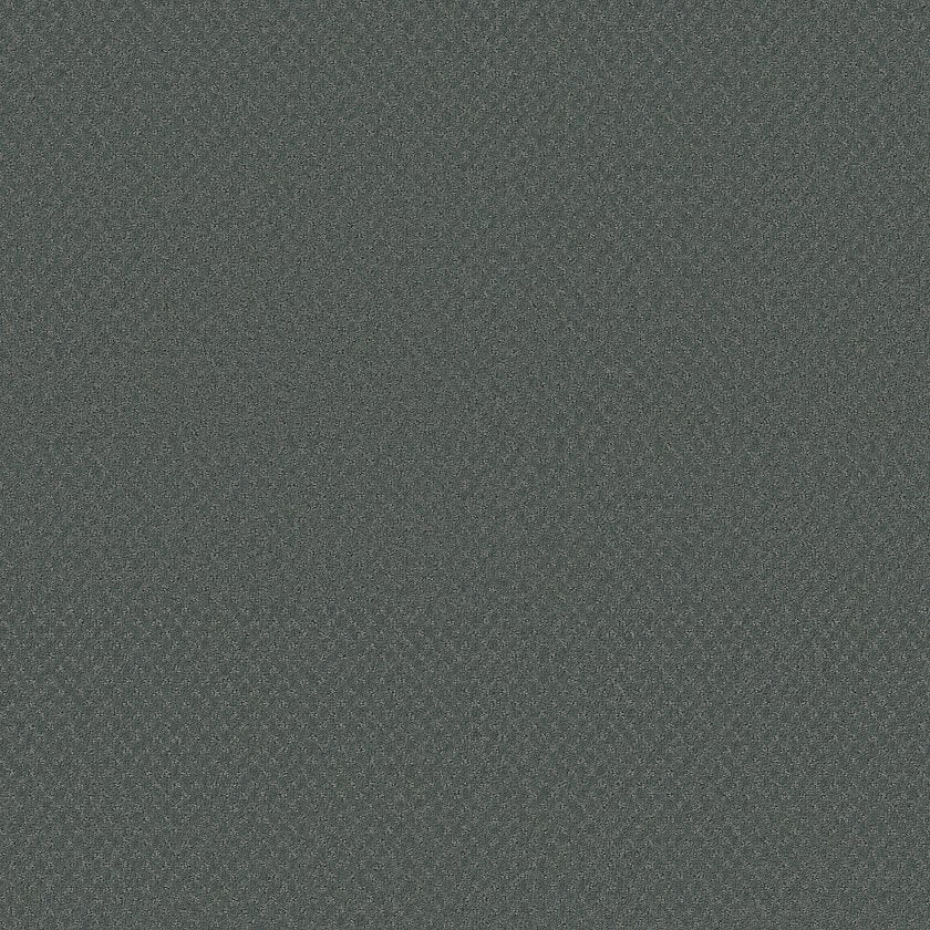 DEL VISTA TIDAL - Carpet